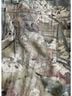 Elisa Cavaletti Floral Multi Color Jeans Size 30 - photo 10
