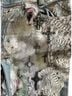 Elisa Cavaletti Floral Multi Color Jeans Size 30 - photo 15