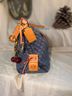 Dooney & Bourke Blue Tan Red Leather Hobo One size - photo 9