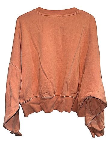Adidas Sweatshirt (view 2)