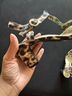Impo Animal Print Multi Color Heels Size 7 1/2 - photo 4