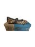 otBt Animal Print Brown Tan Flats Size 6 - photo 1