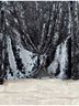 Pleione Black Long Sleeve Top Size M - photo 4