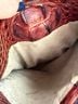 Brahmin Leather Tote One size - photo 7