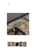 Coach Snake Print Multi Color Leather Wristlet One size - photo 3
