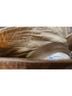 BED|STU 100% Leather Solid Tan Ankle Boots Size 7 - photo 9