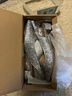 J.Crew Factory Store 100% Polyurethane 100% Leather 100% Leather Silver Flats Size 7 1/2 - photo 6