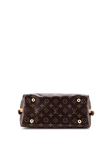 Louis Vuitton CarryAll Hobo Monogram Canvas PM (view 2)