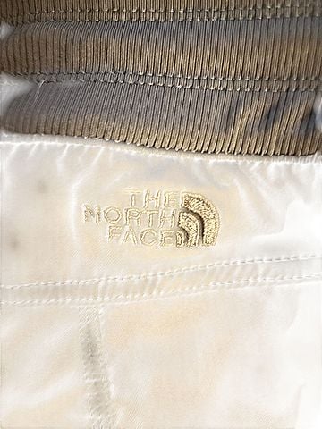 The North Face Casual Pants (view 1)