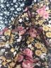 Umgee 100% Polyester Floral Black Pink Yellow Casual Dress Size XL - photo 5