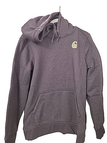 Carhartt Pullover Hoodie (view 1)