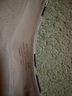 Cole Haan Animal Print Multi Color Heels Size 8 - photo 3