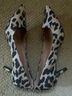 Cole Haan Animal Print Multi Color Heels Size 8 - photo 4
