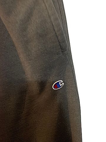 Champion Sweatpants (view 2)