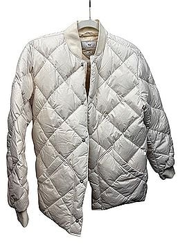 Aritzia Goose Jacket Jacket (view 1)