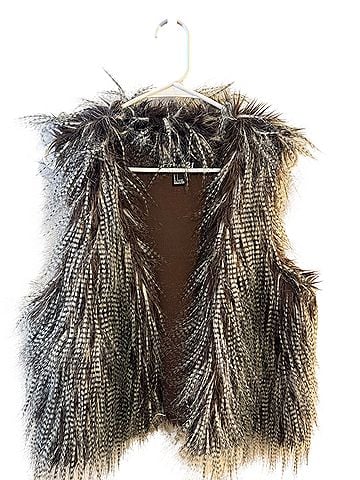 Forever 21 Faux Fur Vest (view 1)