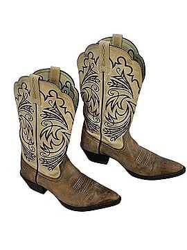 Ariat Boots (view 1)