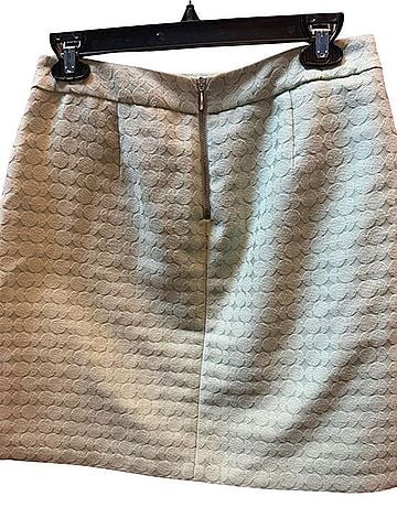 The Limited Casual Skirt (view 2)