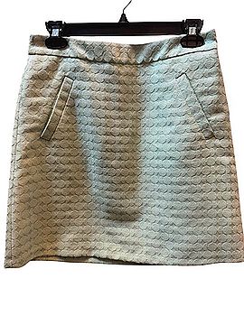 The Limited Casual Skirt (view 1)