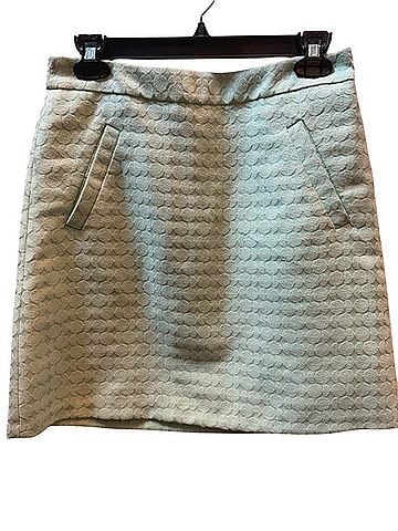 The Limited Casual Skirt (view 1)
