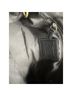 Coach 100% Leather Solid Black Shoulder Bag One size - photo 10