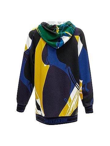 Christian Dior Christian Dior 2022 Logo Hoodie (view 1)