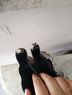 Paige paige Ankle Boots - photo 6