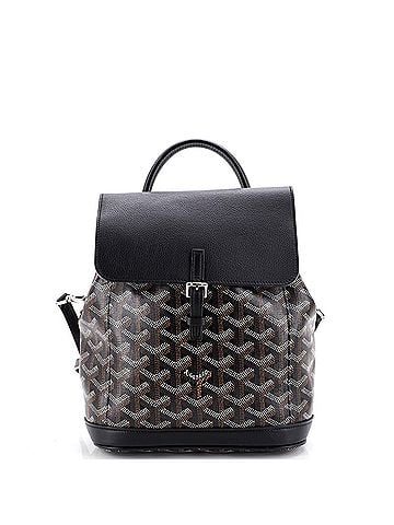 Goyard Alpin Backpack Coated Canvas Mini (view 1)