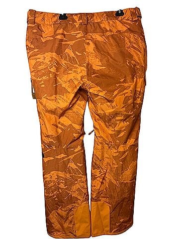 The North Face Snow Pants (view 2)