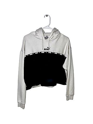 Puma Pullover Hoodie (view 1)