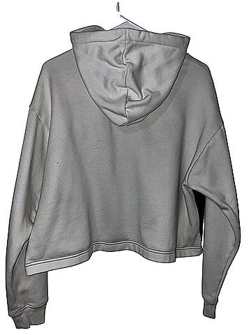 Puma Pullover Hoodie (view 2)