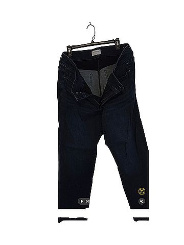 Lane Bryant Lane Bryant Jeans (view 1)