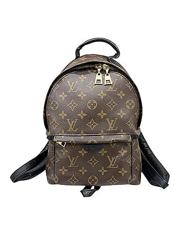 Louis Vuitton LOUIS VUITTON Louis Vuitton Monogram Palm Springs Backpack PM M44871 Mini for Women and Men (view 1)