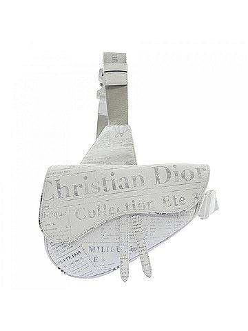 Christian Dior Christian Dior Dior DIOR Saddle Daniel Arsham handbag (view 1)