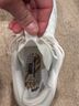 Under Armour under armor Sneakers - photo 3