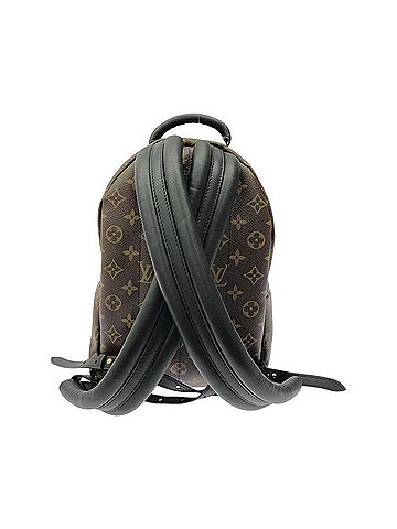 Louis Vuitton Louis Vuitton Monogram Reverse Palm Springs Backpack PM M43116 (Rucksack) (view 2)