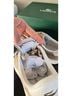 Lacoste Tan White Sneakers Size 7 1/2 - photo 3