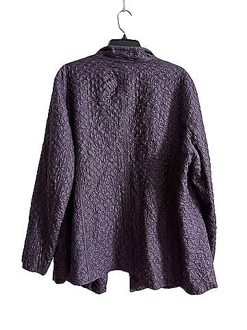Eileen Fisher Jacket (view 2)