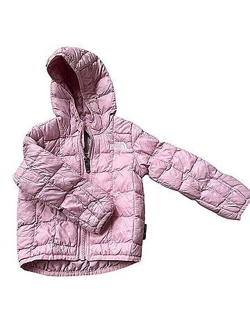 The North Face Jacket (view 2)