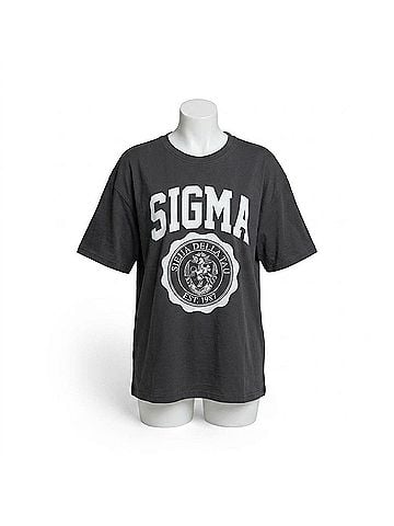 Ambar Sigma T-Shirt in Dark Grey (view 1)