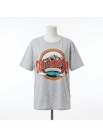 Ambar Colorado Printed Short Sleeve Tshirt in Gray (view 1)