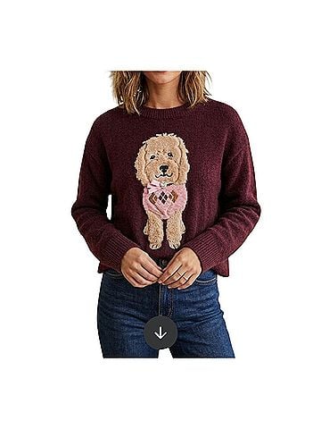 Maeve pullover dog sweater Pullover Sweater (view 1)