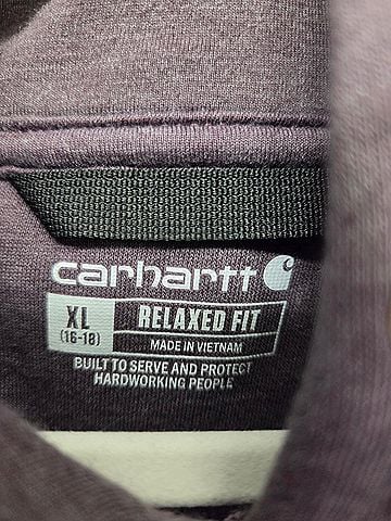 Carhartt Pullover Hoodie (view 2)