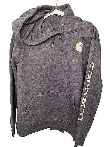 Carhartt Pullover Hoodie (view 1)