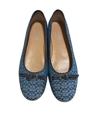 Coach Flats (view 1)