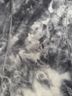 Lululemon Athletica Tie-dye Black Gray Jacket Size 8 - photo 13