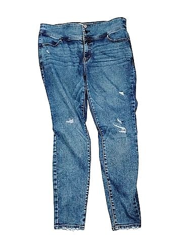 Lane Bryant Jeans (view 1)
