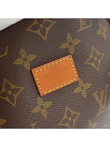 Louis Vuitton Saumur Handbag Monogram Canvas Brown Canvas Handbag (view 2)