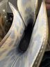 Mix No. 6 Leopard Print Black Brown Boots Size 8 - photo 3