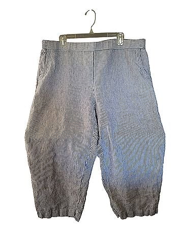 Charter Club Linen Pants (view 1)